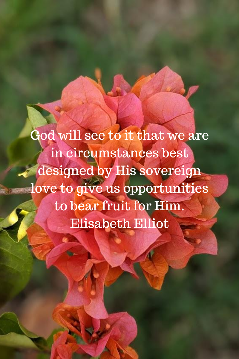 God will see to it that we are in circumstances best designed by His sovereign love to give us opportunities to bear fruit for Him. Elisabeth Elliot.png