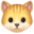 🐱