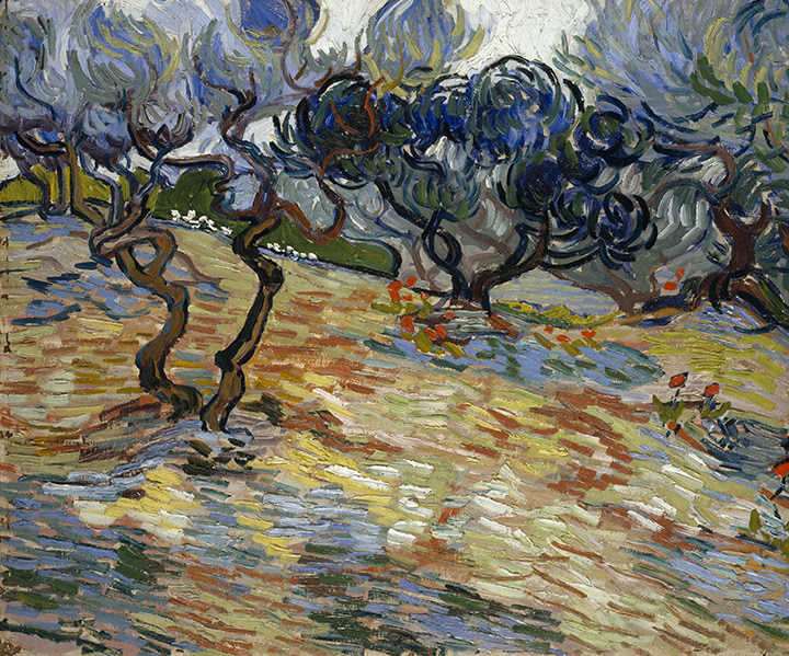 Vincent van Gogh, Olive Trees