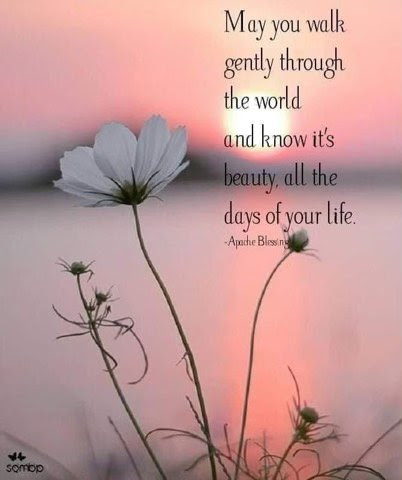 Beauty-every-day