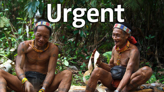 Deux indigènes du peuple Mentawaï dans leur forêt sur l’île de Siberut en Indonésie
