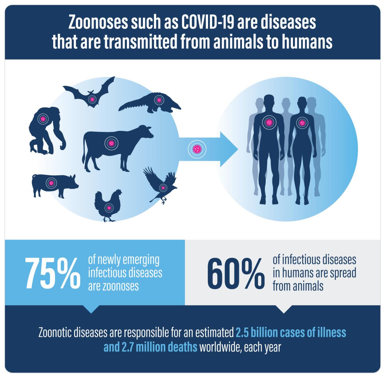 PV_Zoonoses_Infographic