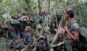 Democratic Republic of Congo: Muslims murder at least 23 civilians in overnight raid on village