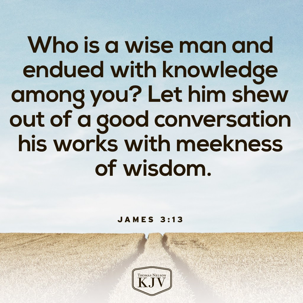 13 Who is a wise man and endued with knowledge among you? let him shew out of a good conversation his works with meekness of wisdom. James 3:13