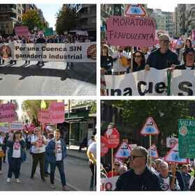 Los pueblos de Cuenca protestaron el 13 de noviembre contra el "coladero" de la moratoria de las macrogranjas
