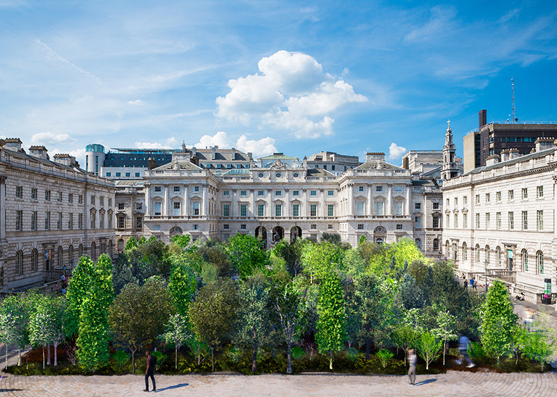 An artist's impression of Forest for Change. Hundreds of green, leafy trees are shown in the courtyard at Somerset House.