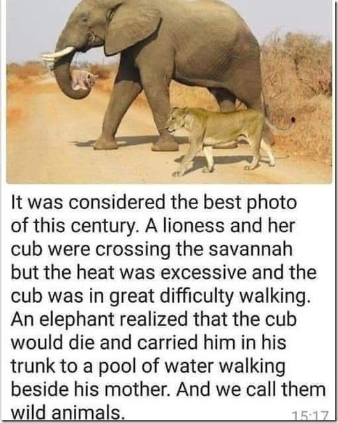 469