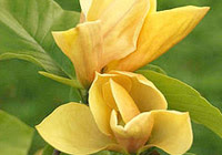 http://enews.bbg.org/q/_47SKRULrYr-STv-_FrTIbCuwthr8Q7MRupVljbax6bFs2pGIU-_77Nyd http://enews.bbg.org/q/_47SKRULrYr-STv-_FrTIbCuwthr8Q7MRupVljbax6bFs2pGIU-_77Nyd