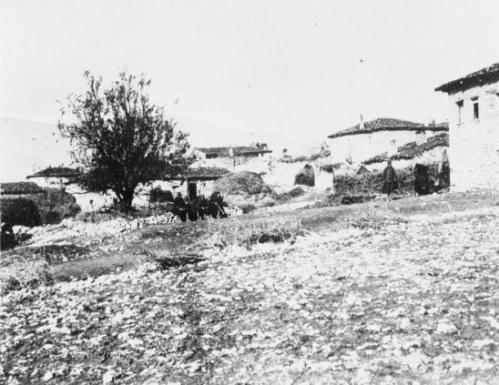 arnissa8-1912-13