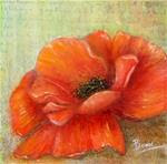 "French Poppy" - Posted on Friday, January 9, 2015 by Maureen Bowie