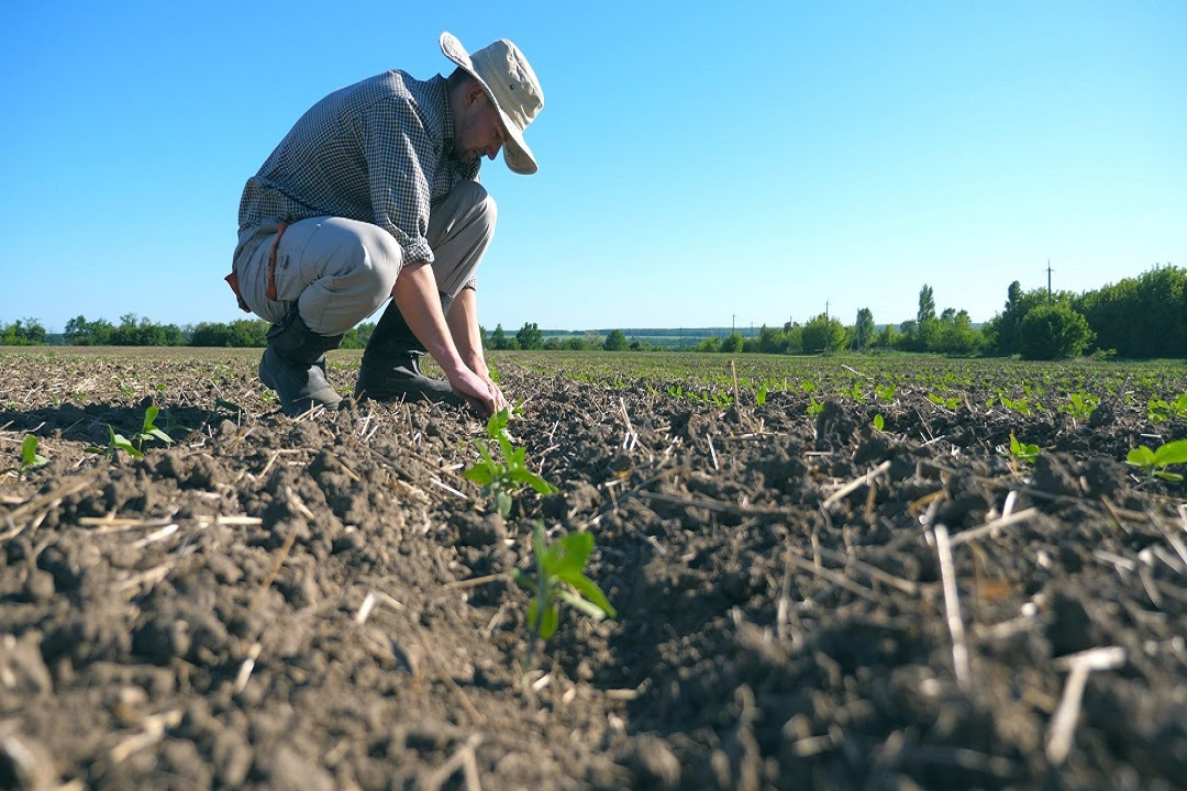 acqua agricoltura