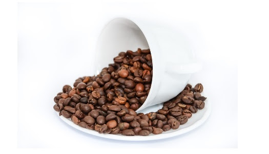 alimentos