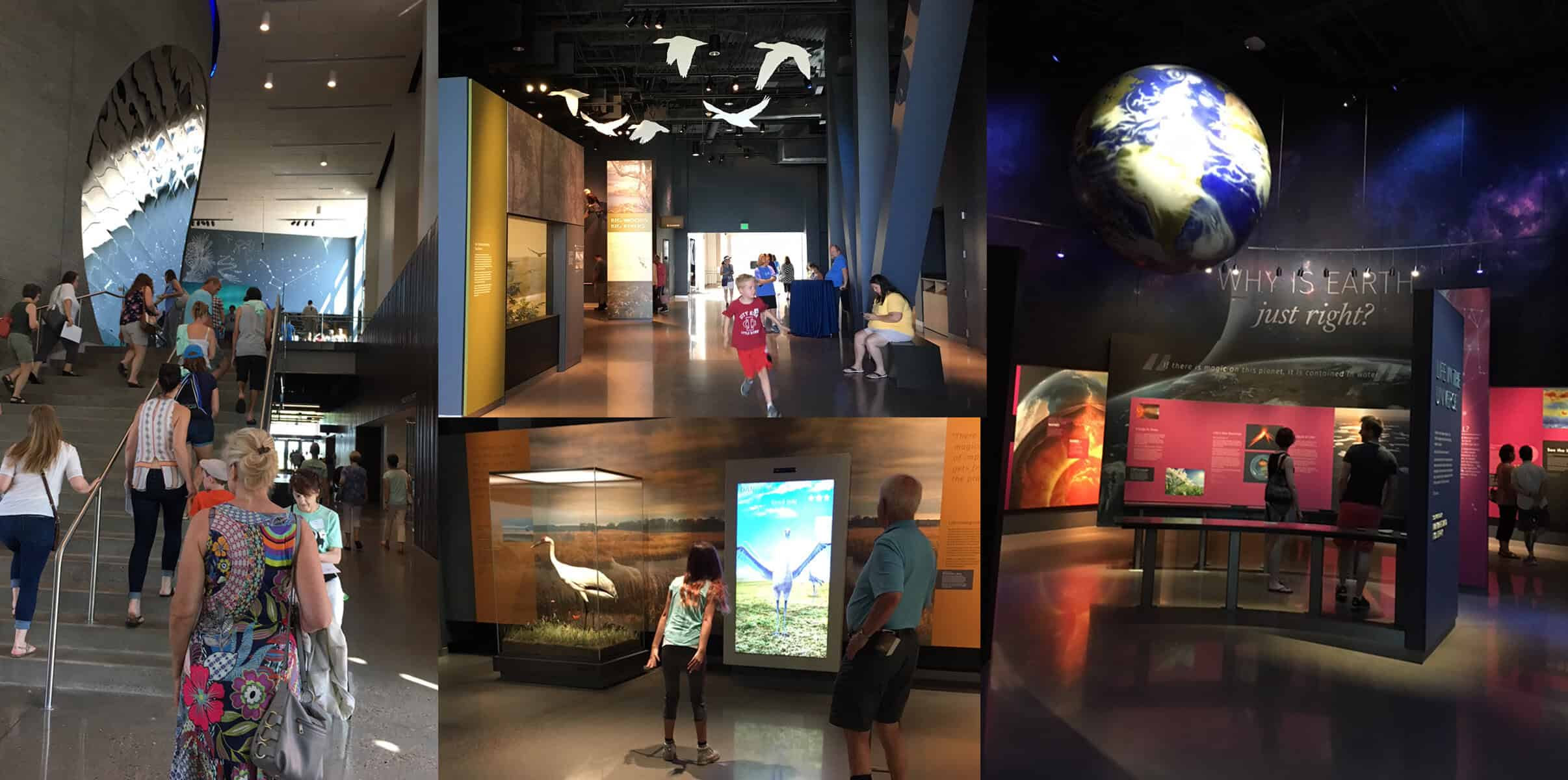 The face that greets you in the mirror each morning. The New Bell Museum of Natural History