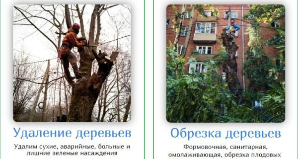 Обрезка Деревьев moscowarborist.ru