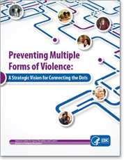 Cover of brochure for DVP's New Strategic Vision