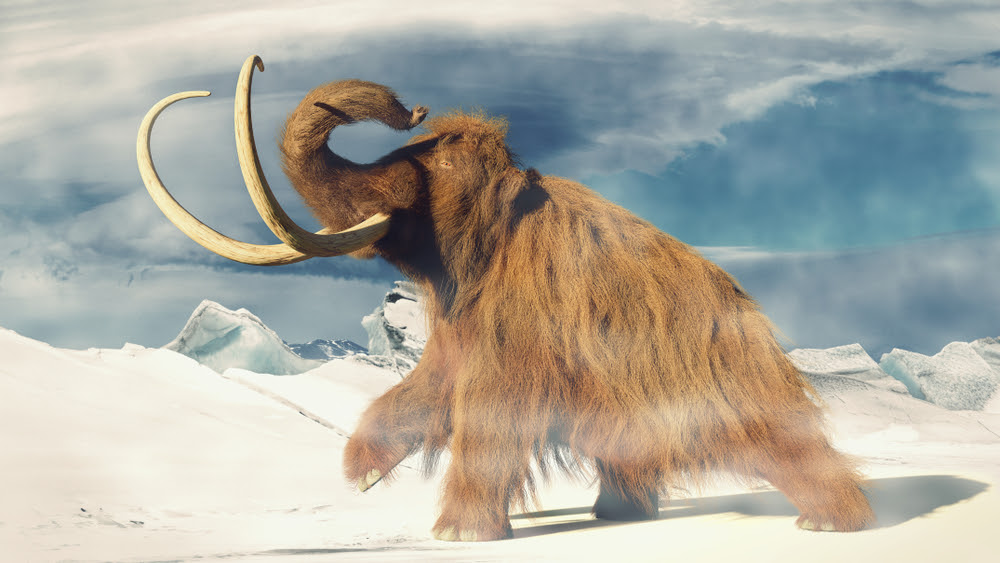 CIA Is Quietly Buying Up Woolly Mammoth Resurrection Tech