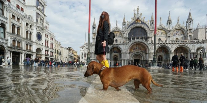 À Venise, des digues anti-inondations ont été construites pour éviter que les habitations et la fameuse place Saint-Marc ne se retrouvent sous les eaux.