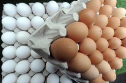 ¿Son los huevos morenos más naturales y nutritivos que los blancos?