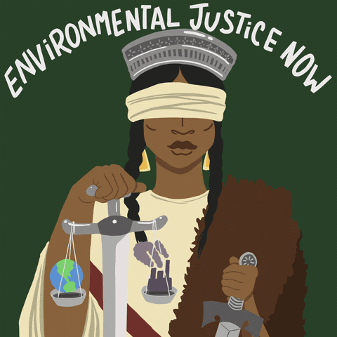 Environmental justice now