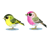 animated-bird-image-0598