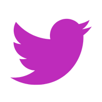 X or Twitter