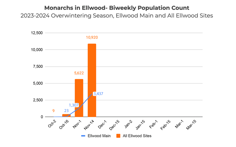 Monarch Ellwood Count