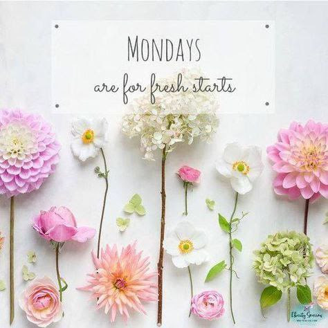 Monday-Fresh-Start