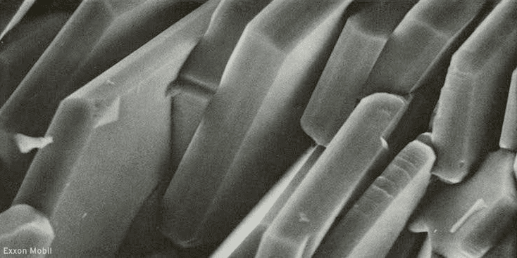 A microscopy image