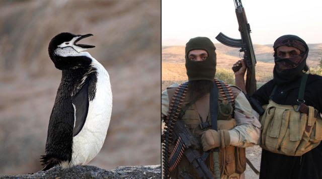 Antarctica Under Attack? Foreign Travel Terror Warnings (Video) Antarctica Under Attack? Foreign Travel Terror Warnings (Video)
