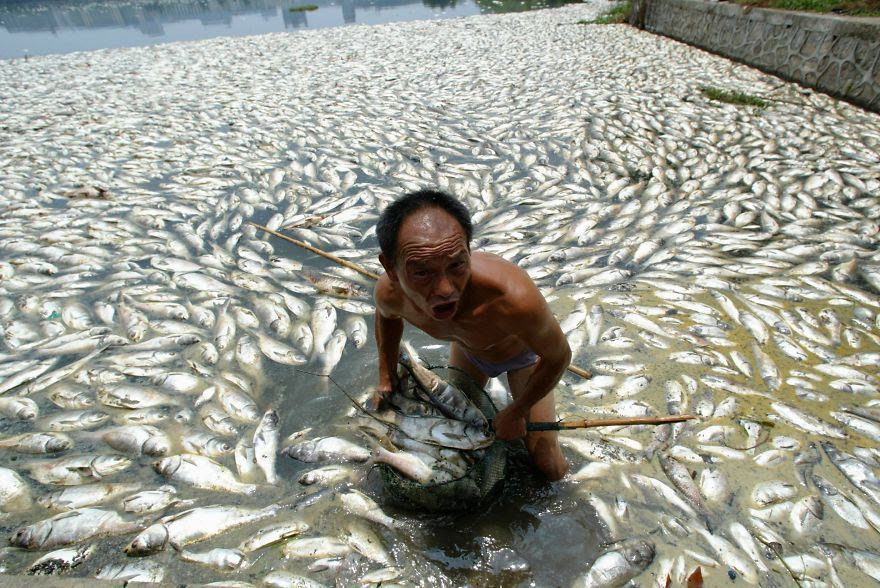 environmental-problems-pollution-17__880.
