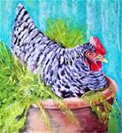 Pot Calling Hen - Posted on Saturday, November 15, 2014 by Anna Lisa Leal