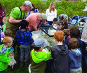 Hearts and Minds: Trout in the Classroom? Students Learn Some Fishy Water Lessons IMAGE