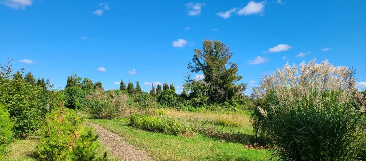 Chinese Medicinal Herb Garden at Quail Hill Farm