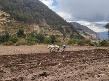 Perú oficializó mapa nacional de superficie agrícola