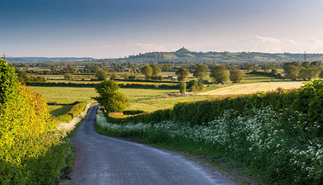 image of Somerset fields