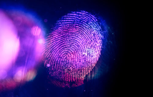 Fingerprint