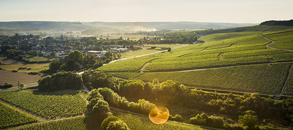 Les vins de Chablis