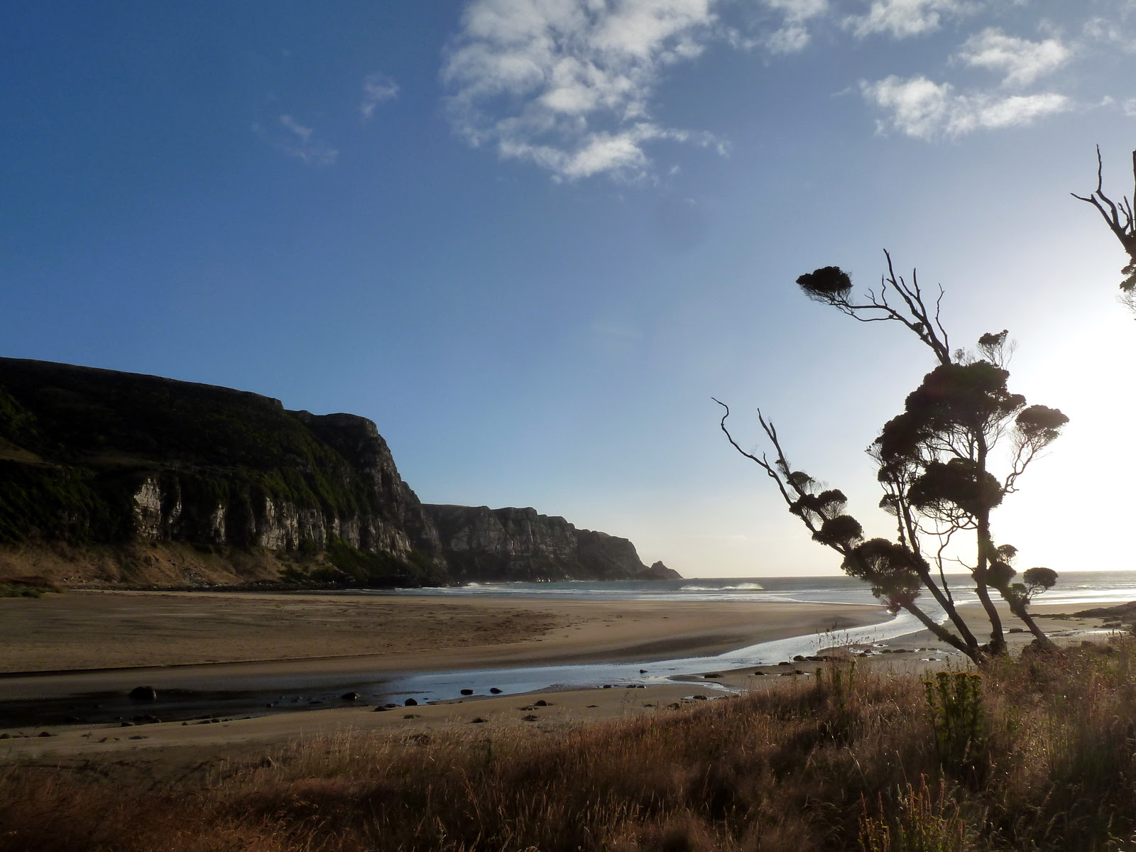 purakaunui-bay-doc-site-view.jpg (1600×1200)