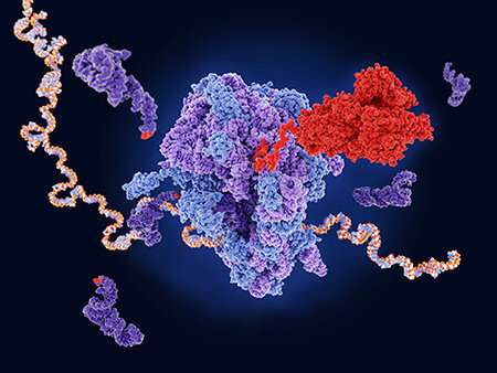 A small molecule induces readthrough of cystic fibrosis CFTR nonsense mutations