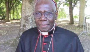 Guinean Cardinal: “If the West continues in this fatal way, it will disappear, invaded by foreigners”