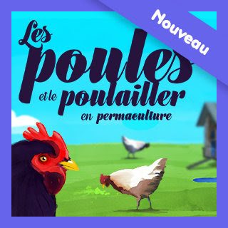 Illustration de la formation « les poules et le poulailler en permaculture »