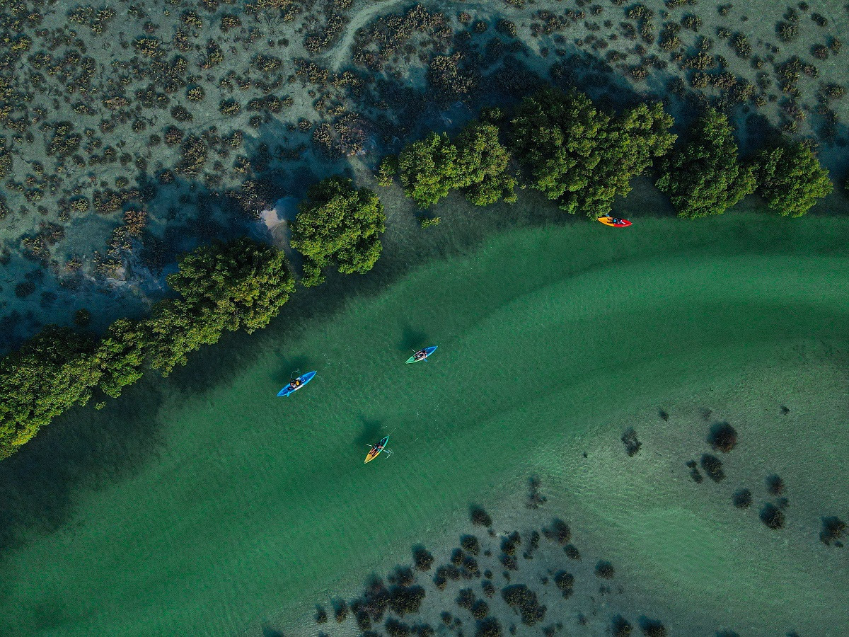 Jubail Island- Kayaking