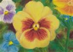 Pansy and Friends - Posted on Saturday, February 14, 2015 by Rebecca Prough