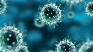 hpv