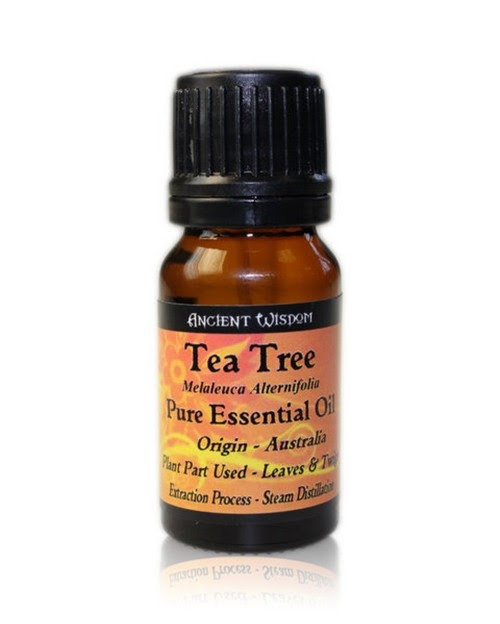 Ulei esential de Tea Tree (Melaleuca Alternifolia), 10ml - Ancient Wisdom