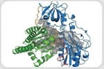 Study Reveals Crystal Structure of Enzyme Responsible for Biosynthesis of CO