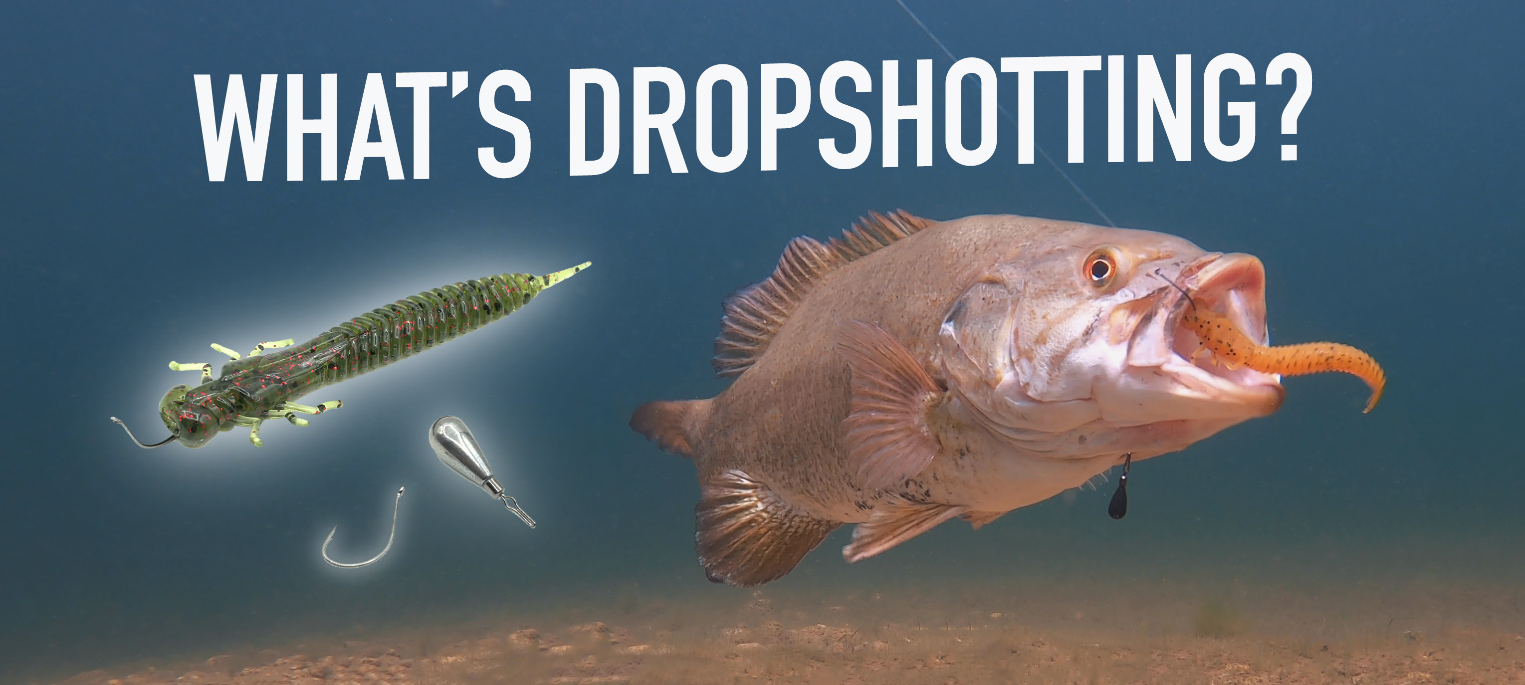 LEARN HOW TO DROPSHOT! (CATCH MORE FISH) by Fresh Baitz