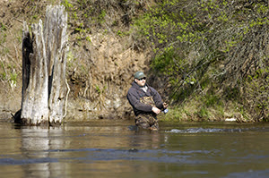 An angler enjoys a day on the Pere Marquette River.