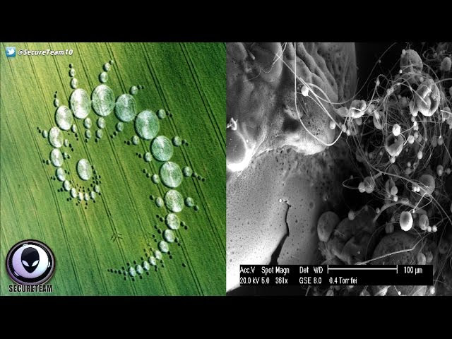Crop Circles Are Not Man-Made 5/17/17  Sddefault