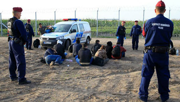 Arresto de refugiados después de haber cruzado la frontera en Röszke. Foto: Reuters
